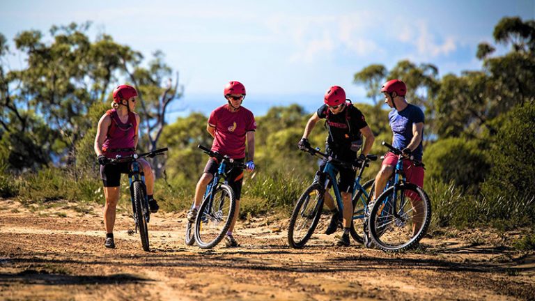 blue mountains bike trails